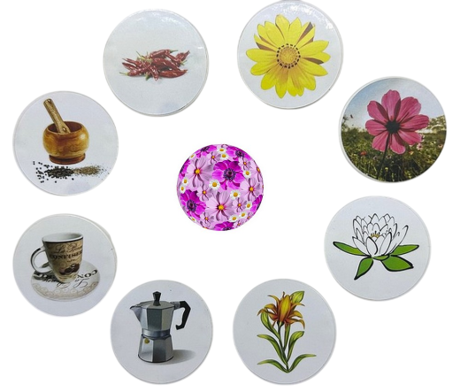 9 Stück Dekosteckel DS-9777_9xDeko_Küche_Blumen