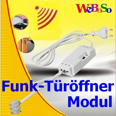 FTO-2090-DFM SET Funk-Türöffner Modul steckerfertig mit DFM-1000 Sendemodul