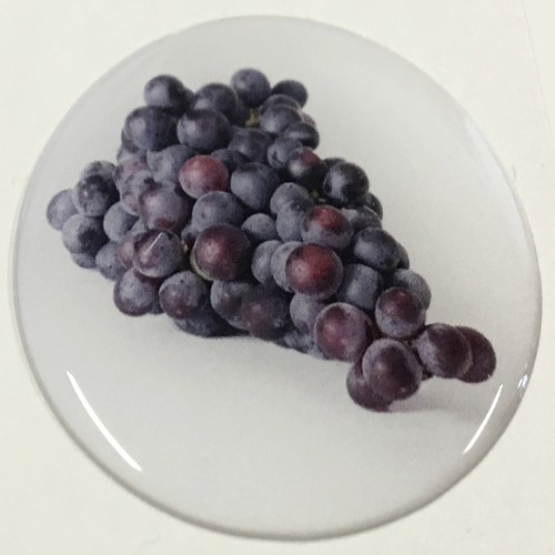 1x Doming-Aufkleber solo DA-Trauben_24