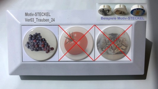 1x Doming-Aufkleber solo DA-Trauben_24