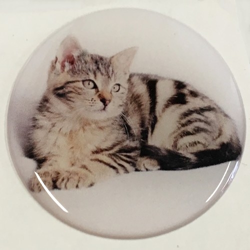 1x Doming-Deko-STECKEL MS-108_Katze