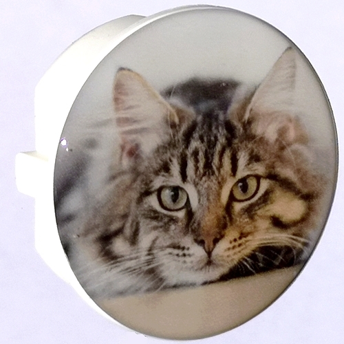 1x Doming-Deko-STECKEL MS-122_Katze