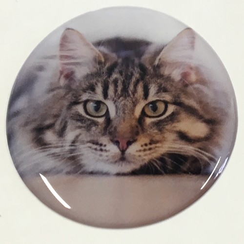 1x Doming-Deko-STECKEL MS-122_Katze
