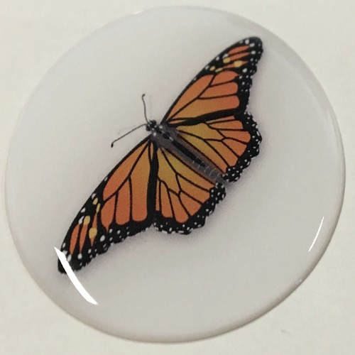 1x Doming-Deko-STECKEL MS-134_Schmetterling