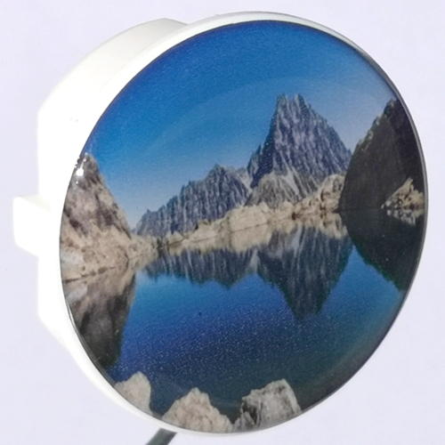 1x Doming-Deko-STECKEL MS-145_See