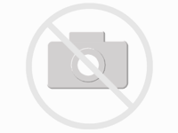 DWS-20T Funk-Wandsender mit Timer 2-Kanal DIW-Funk