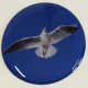 1x Doming-Aufkleber solo DA-Vogel_11