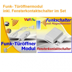 FTO-2090-DFM SET Funk-Türöffner Modul steckerfertig mit DFM-1000 Sendemodul